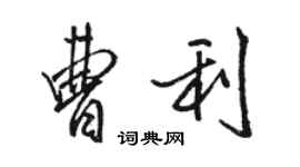 骆恒光曹利行书个性签名怎么写