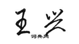 骆恒光王兴行书个性签名怎么写