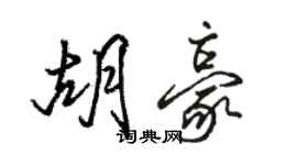 骆恒光胡豪行书个性签名怎么写