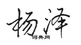 骆恒光杨泽行书个性签名怎么写