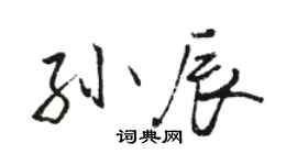 骆恒光孙辰行书个性签名怎么写