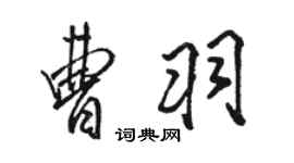 骆恒光曹羽行书个性签名怎么写