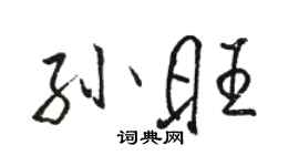 骆恒光孙旺行书个性签名怎么写