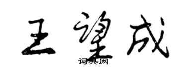 曾庆福王望成行书个性签名怎么写