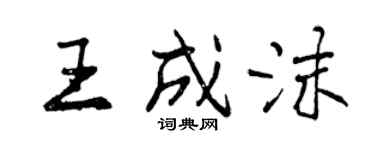 曾庆福王成沫行书个性签名怎么写