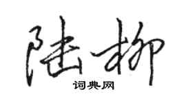 骆恒光陆柳行书个性签名怎么写