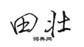 骆恒光田壮行书个性签名怎么写