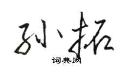 骆恒光孙拓行书个性签名怎么写