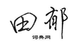骆恒光田郁行书个性签名怎么写