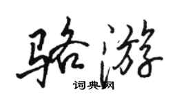 骆恒光骆游行书个性签名怎么写