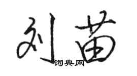 骆恒光刘苗行书个性签名怎么写