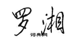 骆恒光罗湘行书个性签名怎么写