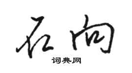 骆恒光石向行书个性签名怎么写