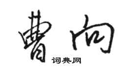 骆恒光曹向行书个性签名怎么写