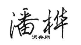 骆恒光潘桦行书个性签名怎么写