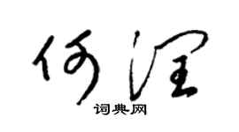 梁锦英何润草书个性签名怎么写