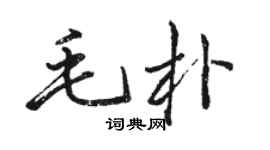 骆恒光毛朴行书个性签名怎么写