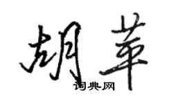 骆恒光胡苹行书个性签名怎么写