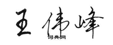骆恒光王伟峰行书个性签名怎么写