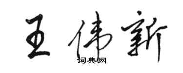 骆恒光王伟新行书个性签名怎么写