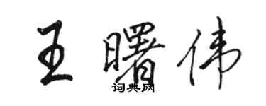 骆恒光王曙伟行书个性签名怎么写
