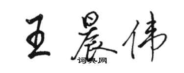 骆恒光王晨伟行书个性签名怎么写