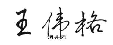 骆恒光王伟格行书个性签名怎么写