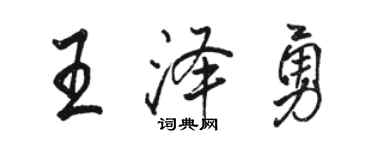 骆恒光王泽勇行书个性签名怎么写