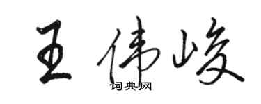 骆恒光王伟峻行书个性签名怎么写