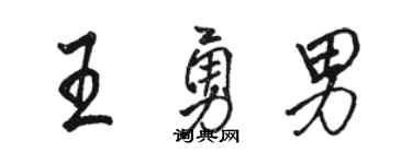 骆恒光王勇男行书个性签名怎么写