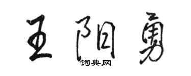 骆恒光王阳勇行书个性签名怎么写