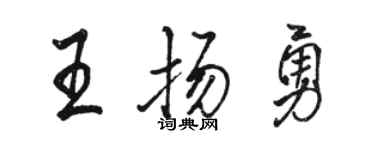 骆恒光王扬勇行书个性签名怎么写
