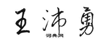骆恒光王沛勇行书个性签名怎么写
