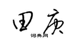 梁锦英田庚草书个性签名怎么写