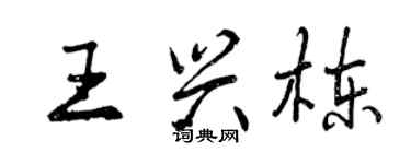 曾庆福王兴栋行书个性签名怎么写