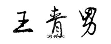 曾庆福王青男行书个性签名怎么写
