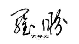 梁锦英罗盼草书个性签名怎么写