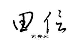 梁锦英田信草书个性签名怎么写