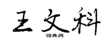 曾庆福王文科行书个性签名怎么写
