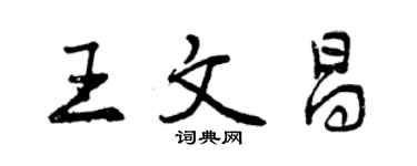 曾庆福王文昌行书个性签名怎么写