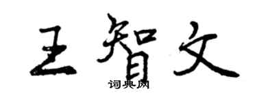 曾庆福王智文行书个性签名怎么写