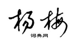 梁锦英杨梅草书个性签名怎么写