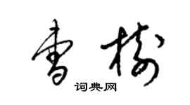 梁锦英曹树草书个性签名怎么写
