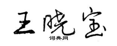 曾庆福王晓宝行书个性签名怎么写