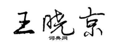 曾庆福王晓京行书个性签名怎么写