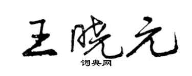 曾庆福王晓元行书个性签名怎么写