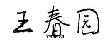 曾庆福王春园行书个性签名怎么写
