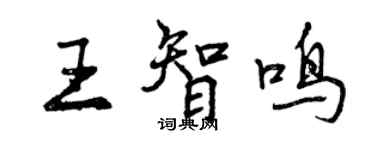 曾庆福王智鸣行书个性签名怎么写