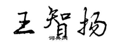曾庆福王智扬行书个性签名怎么写