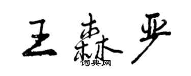 曾庆福王森严行书个性签名怎么写